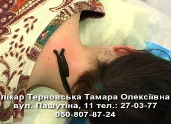 ������������ � ��� �������, � ��� ����� � ��������